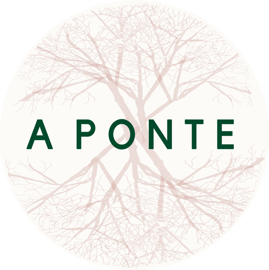 Rede A Ponte
